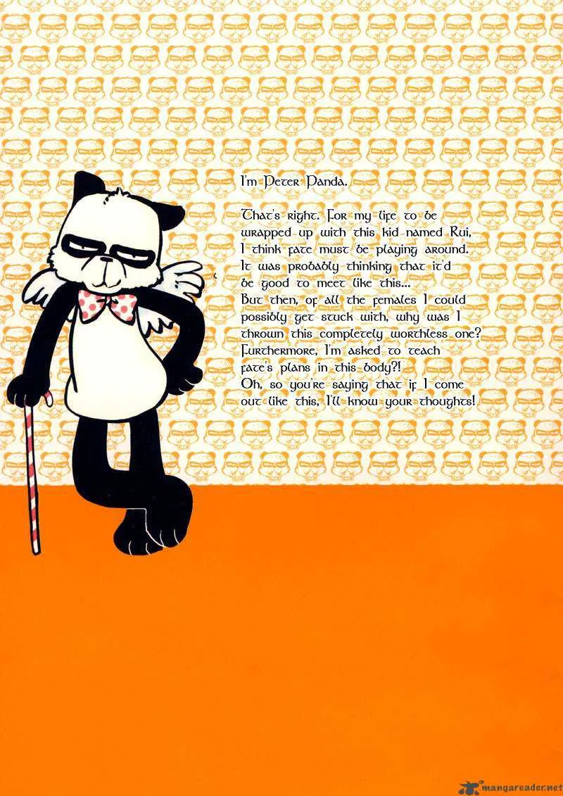 Peter Panda Chapter 7 page 4