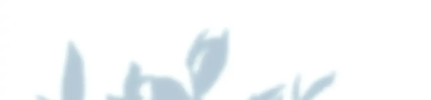 Please Stop Following Me, ML! Chapter 32 page 199