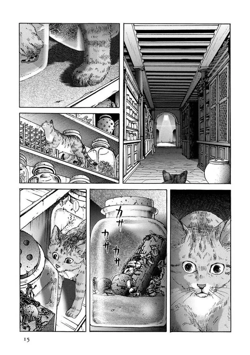 Plinius Chapter 15 page 15