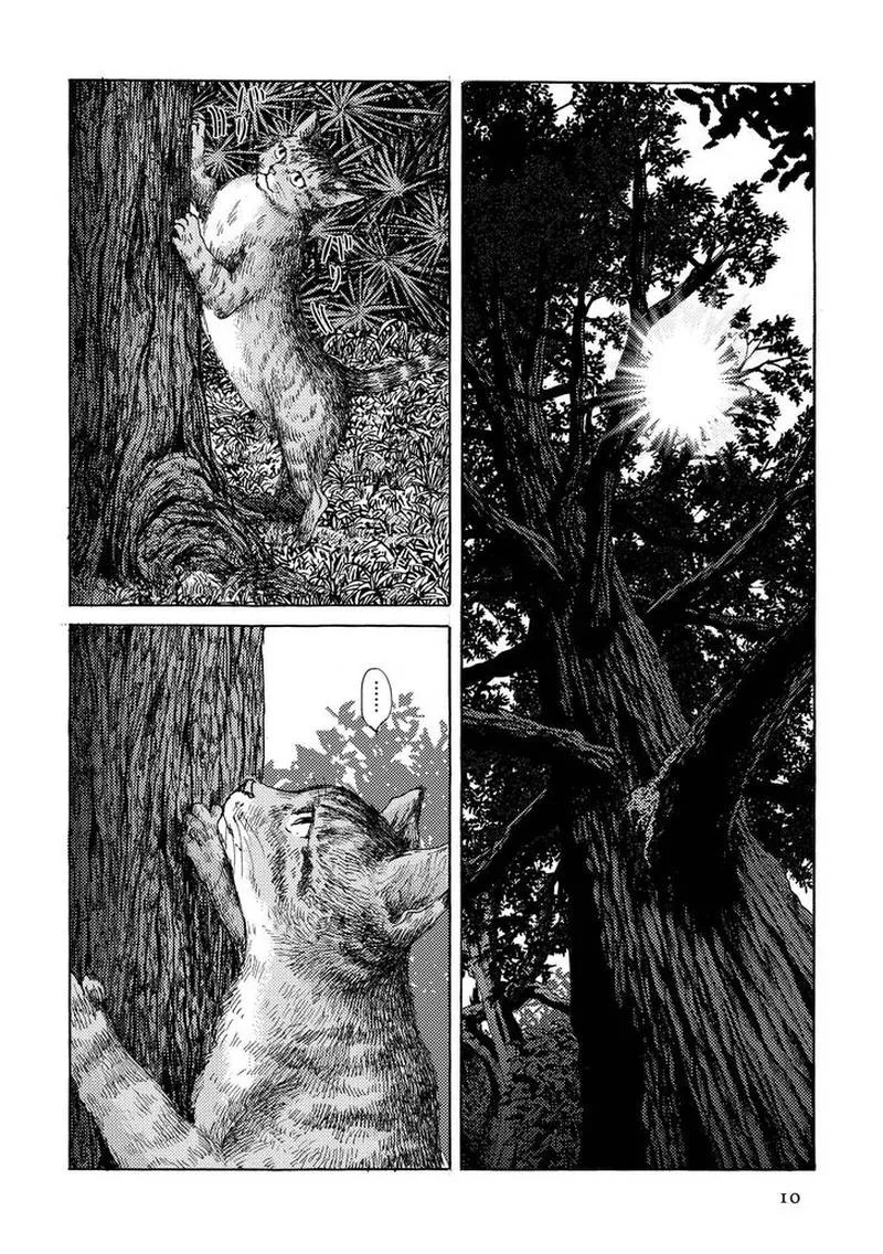Plinius Chapter 15 page 10