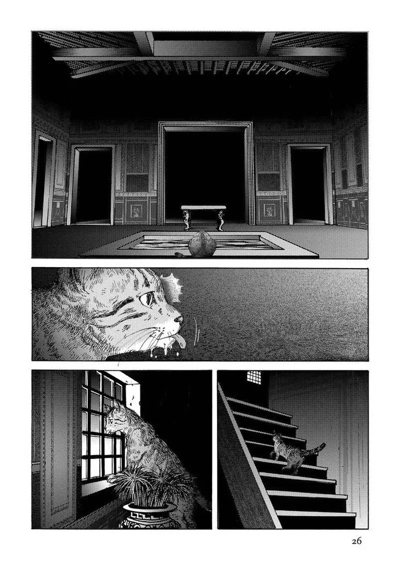 Plinius Chapter 15 page 26