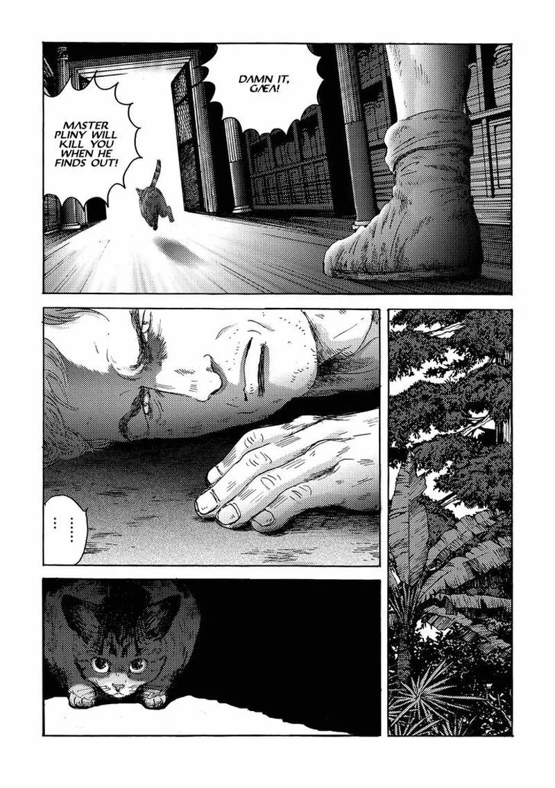 Plinius Chapter 15 page 17