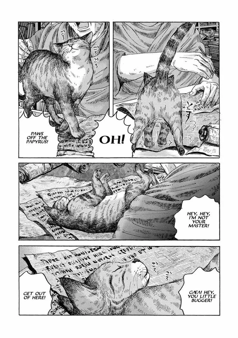 Plinius Chapter 15 page 13