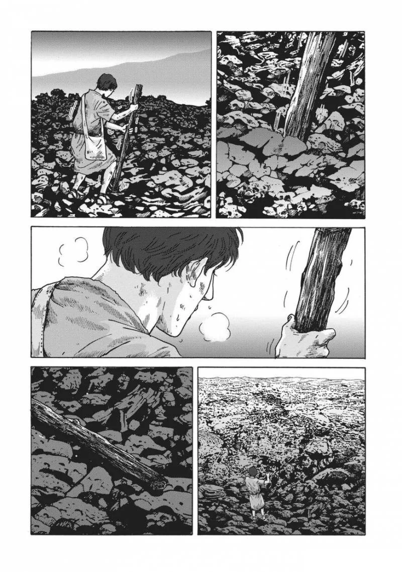 Plinius Chapter 2 page 8