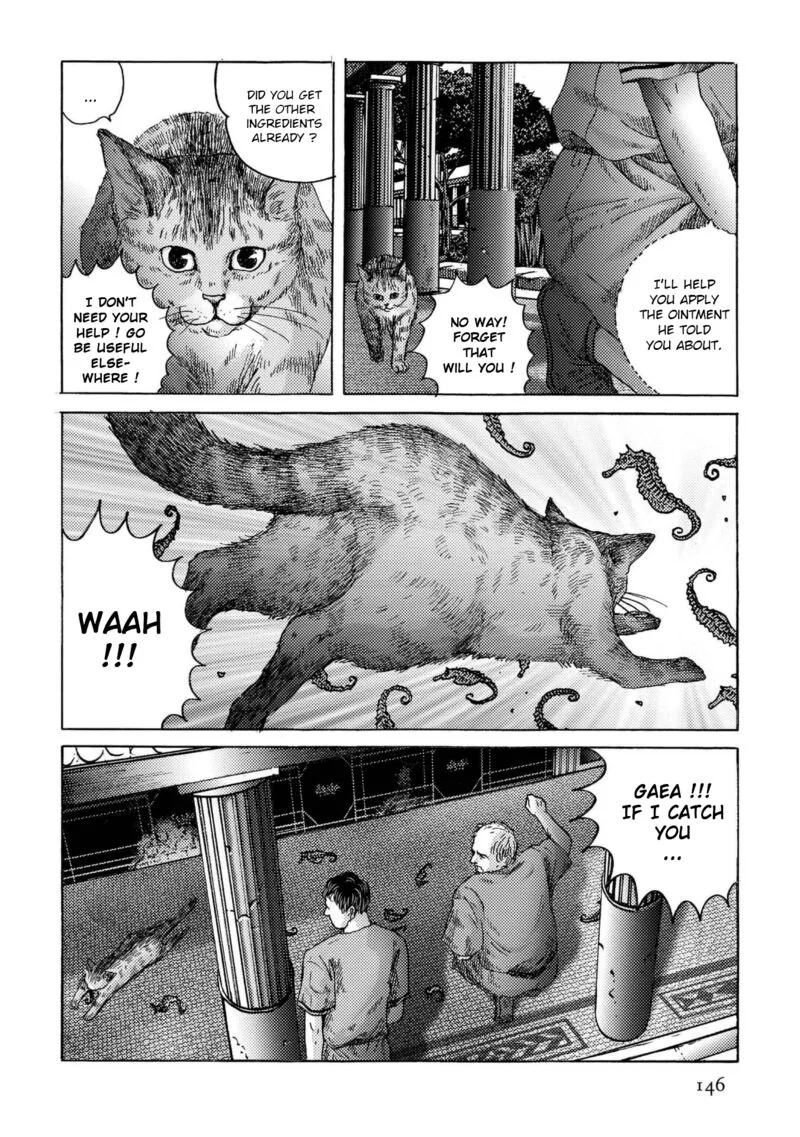 Plinius Chapter 27 page 13
