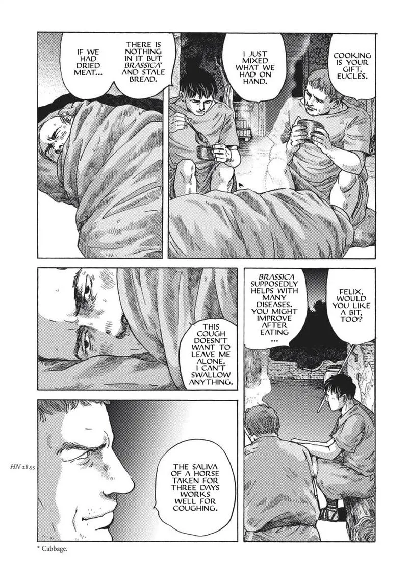 Plinius Chapter 3 page 15