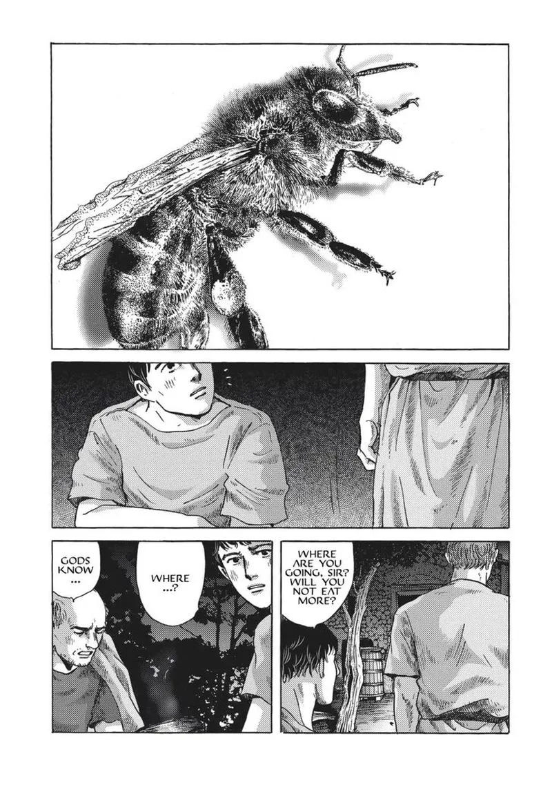 Plinius Chapter 3 page 17