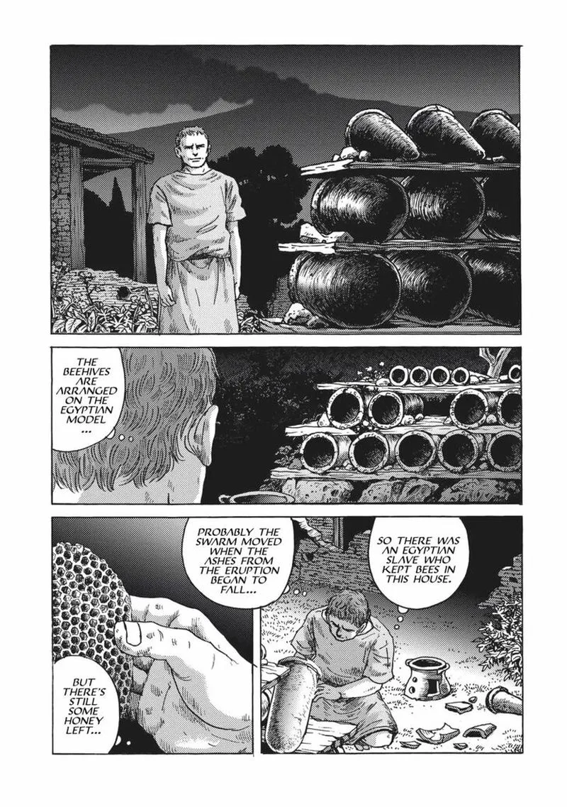 Plinius Chapter 3 page 19