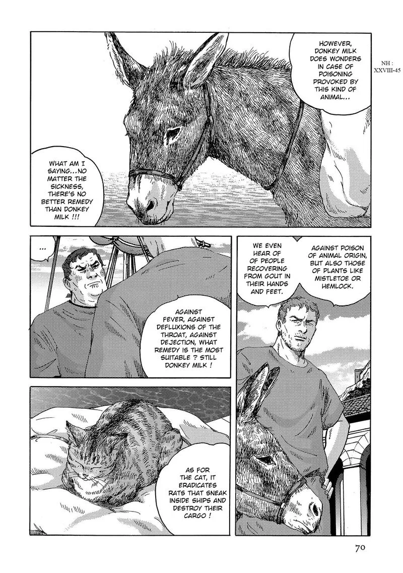 Plinius Chapter 31 page 15