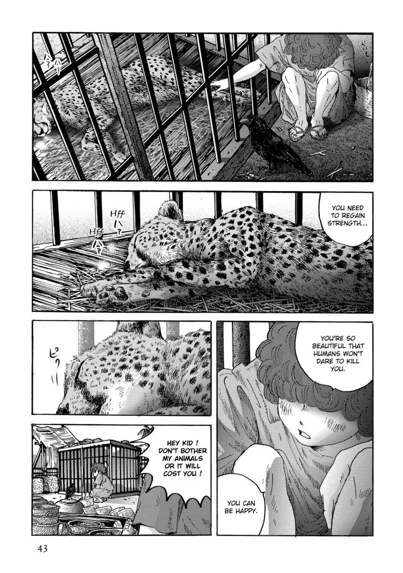 Plinius Chapter 37 page 14