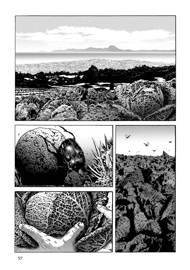 Plinius Chapter 38 page 2