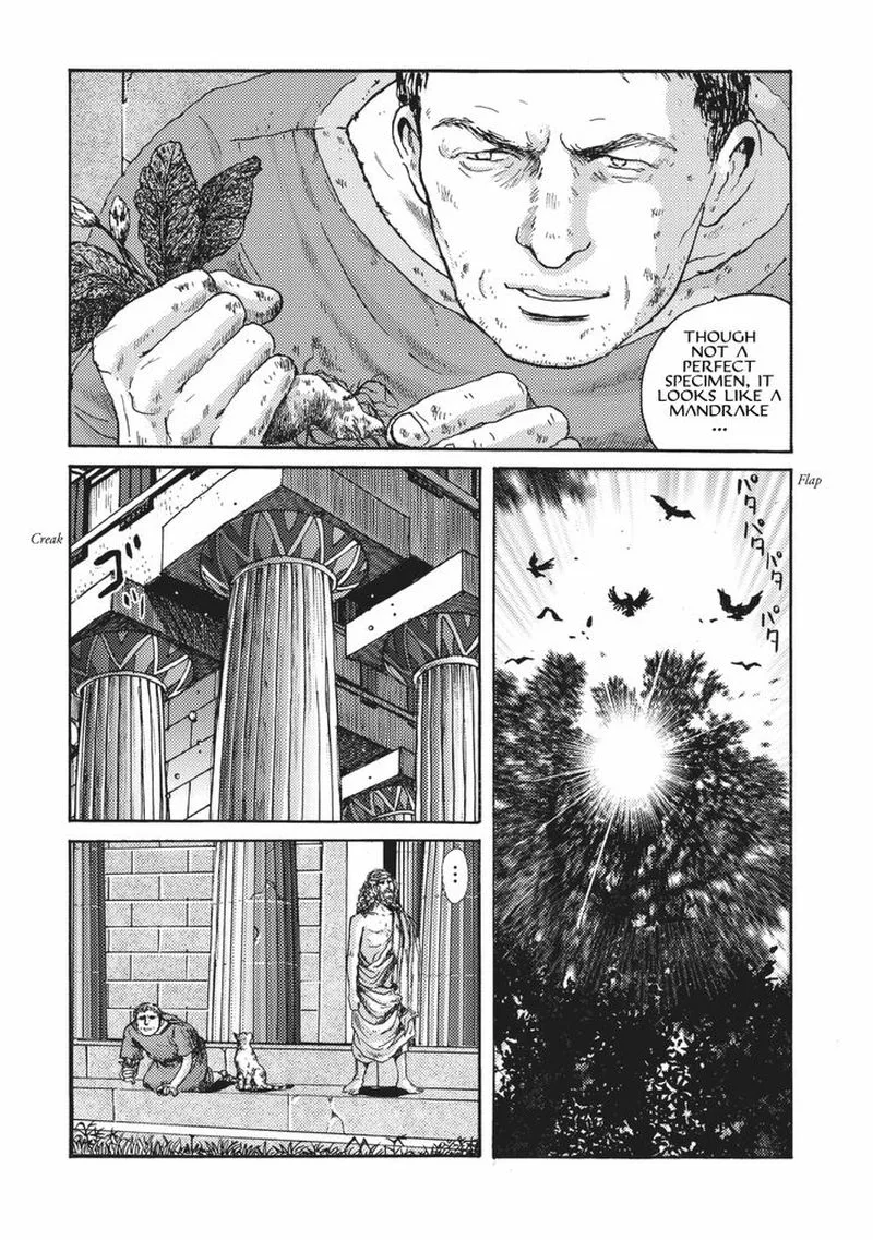 Plinius Chapter 5 page 18