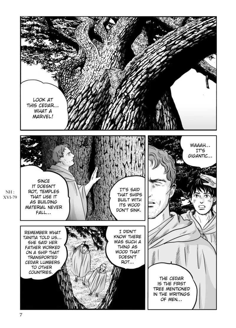Plinius Chapter 64 page 8