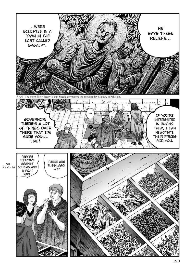 Plinius Chapter 68 page 13