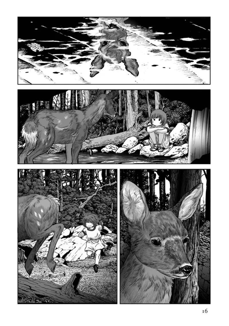 Plinius Chapter 71 page 17