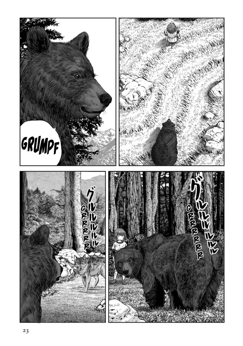 Plinius Chapter 71 page 23