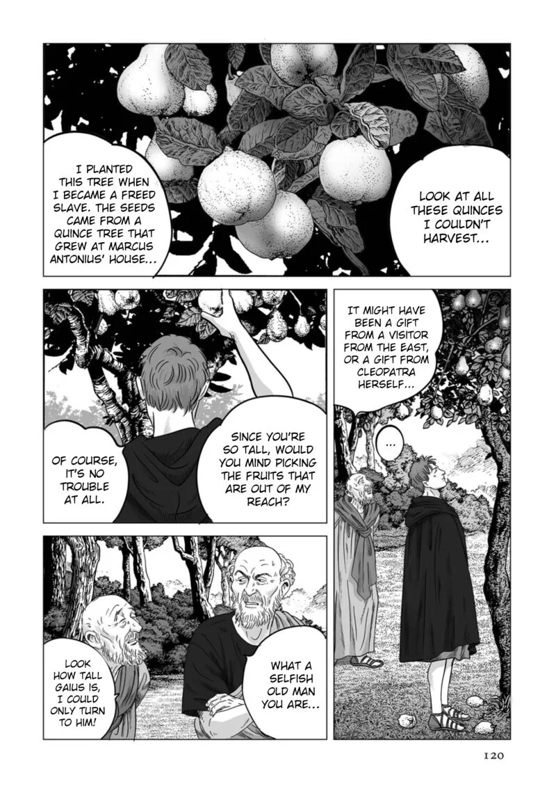 Plinius Chapter 75 page 13