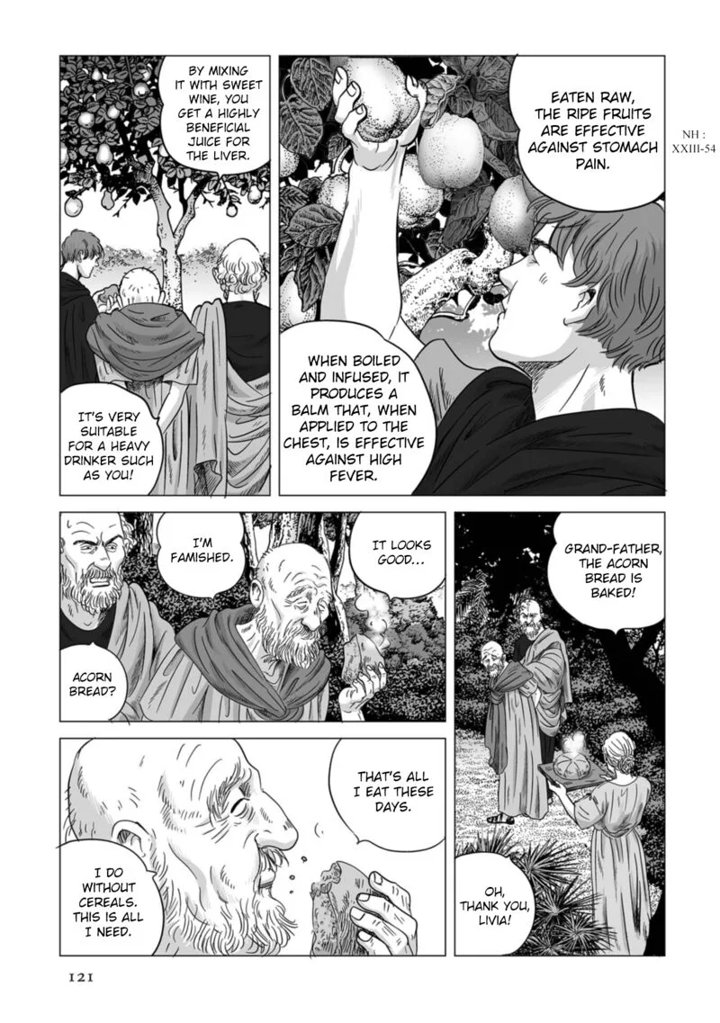 Plinius Chapter 75 page 14