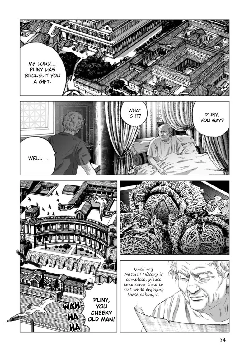 Plinius Chapter 79 page 25