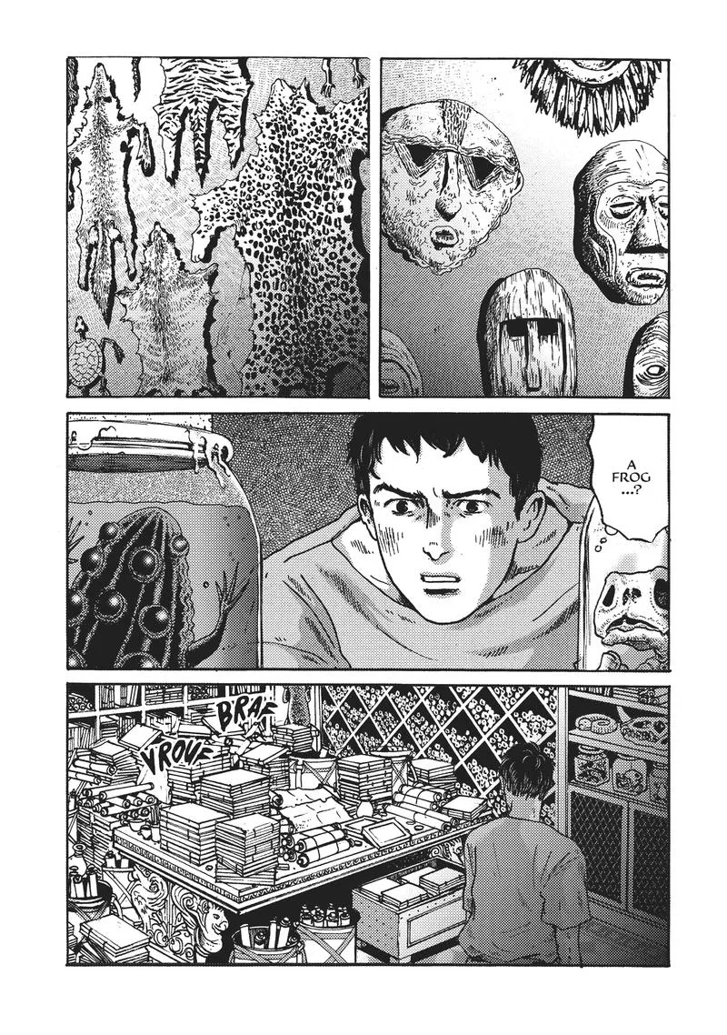 Plinius Chapter 8 page 12