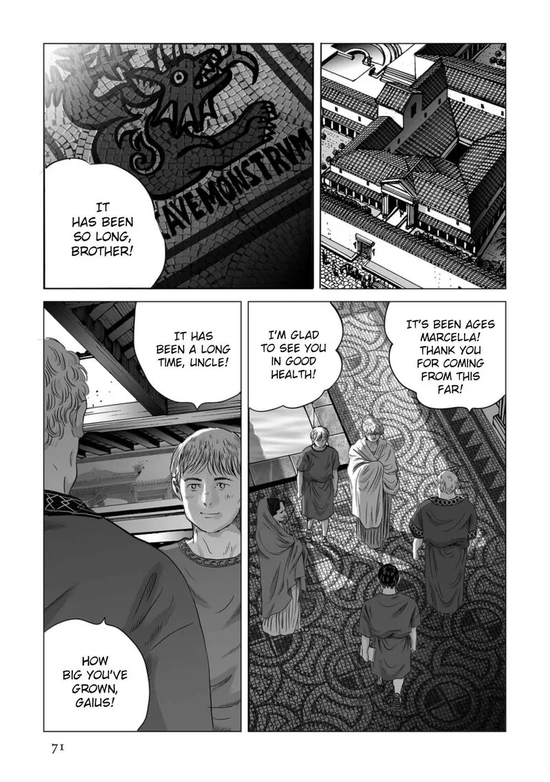 Plinius Chapter 80 page 15
