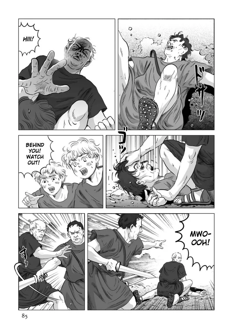 Plinius Chapter 81 page 4