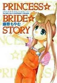 Princess Bride Story cover