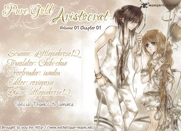 Pure Gold Aristocrat Chapter 1 page 45
