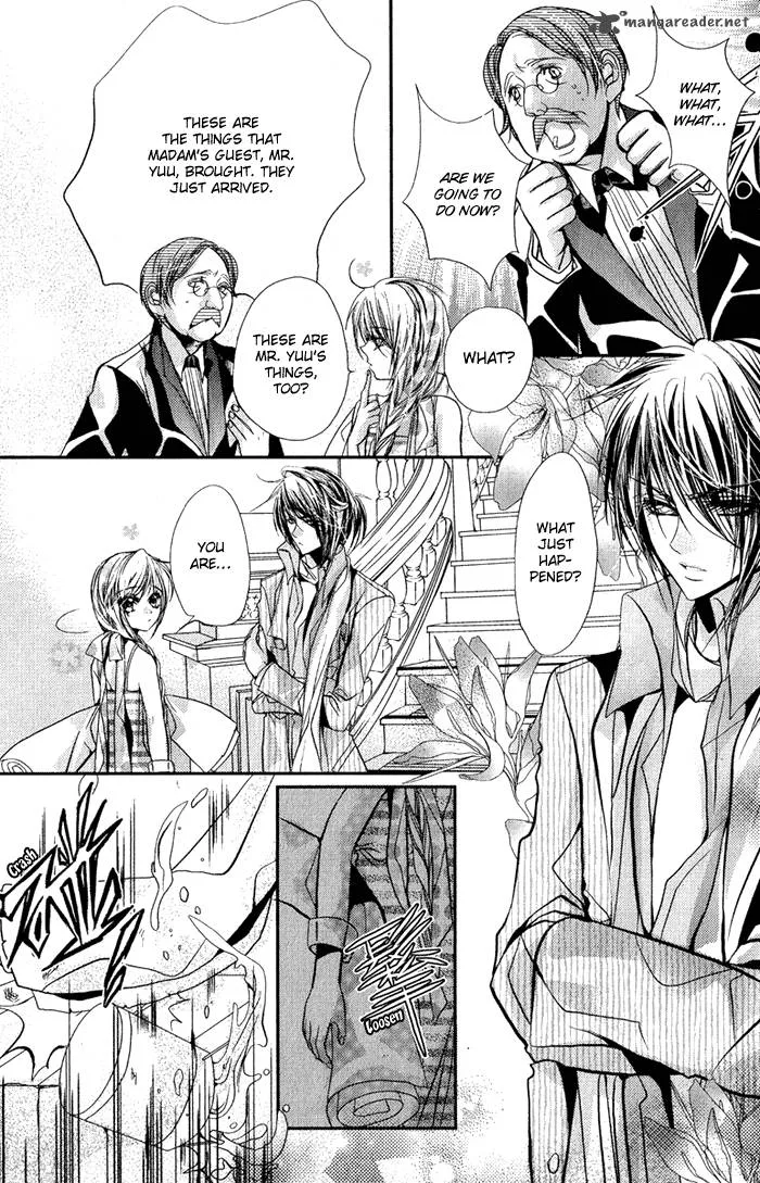 Pure Gold Aristocrat Chapter 3 page 14