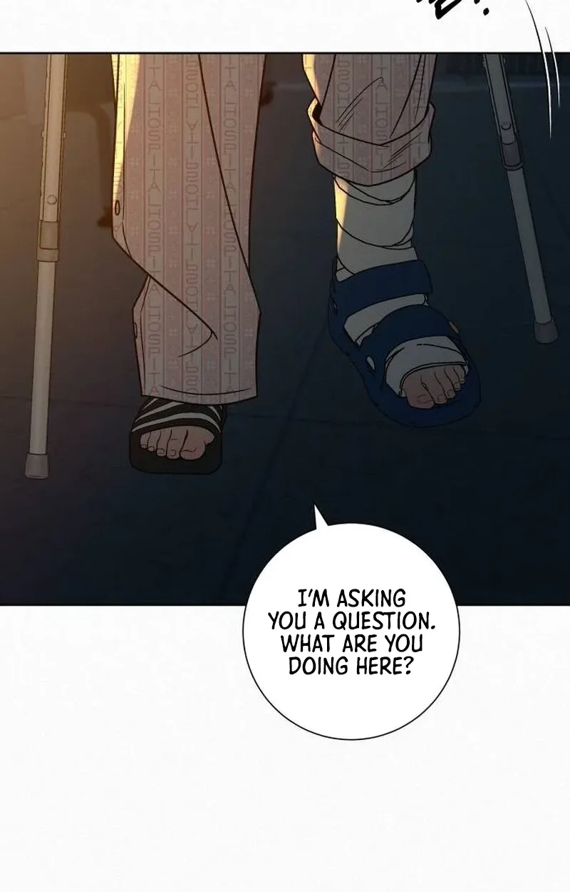 Pure Love Operation Chapter 145 page 11