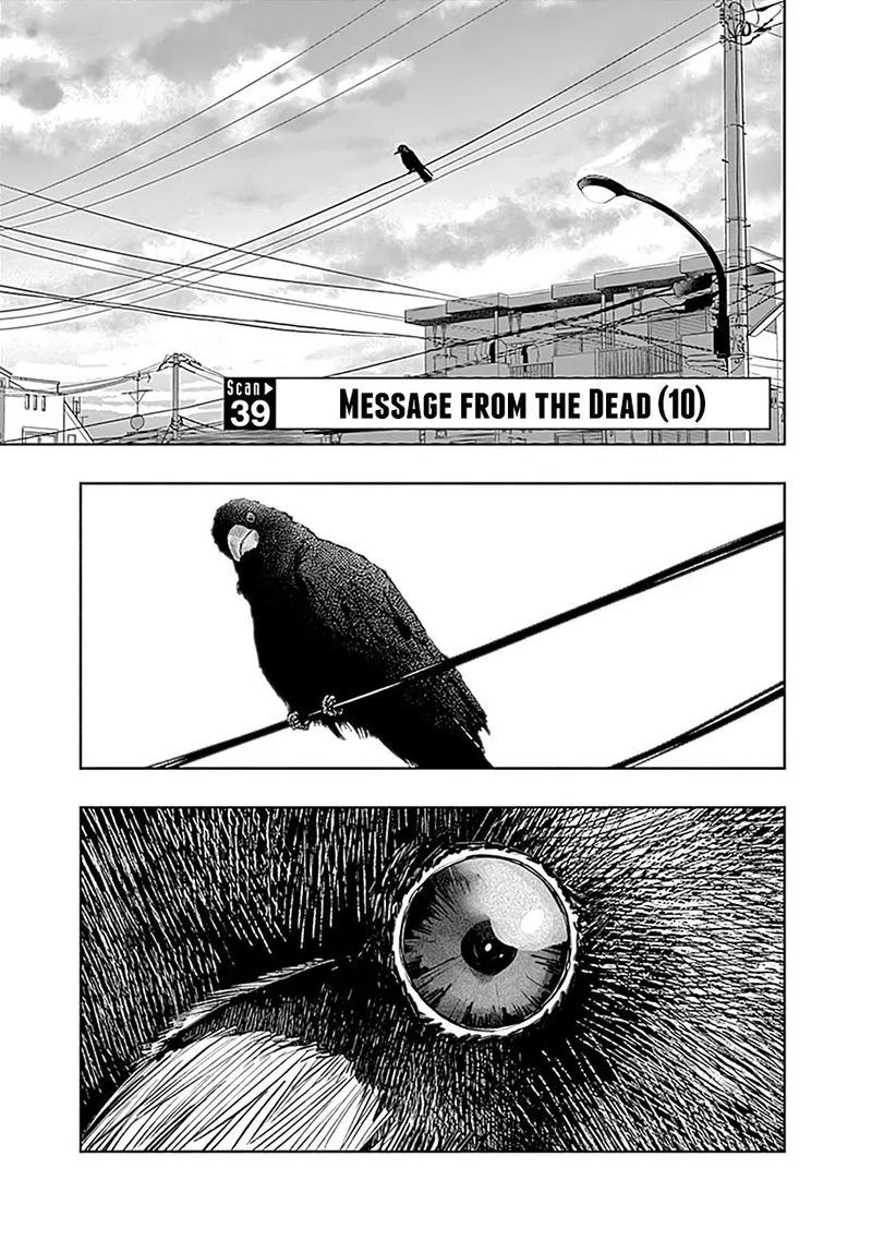 Radiation House Chapter 39 page 1
