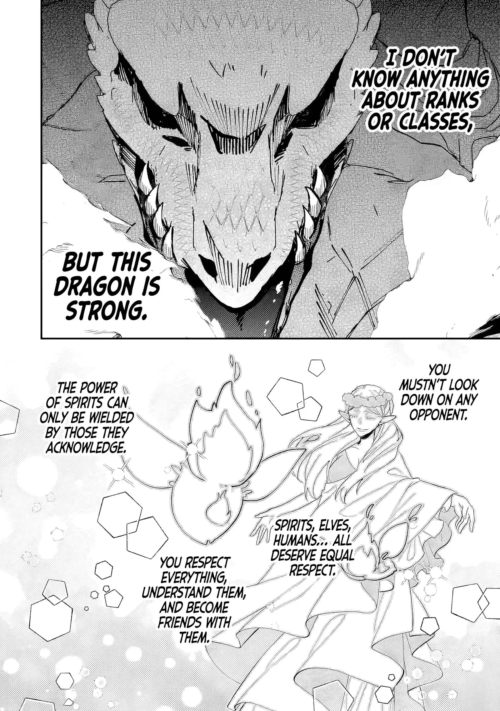 Raised by Elves, I Became Humanity's Only Spirit Mage ~ the Naive Strongest Adventurer Dominates Human Society Without Even Realizing It ~ Chapter 2 page 17