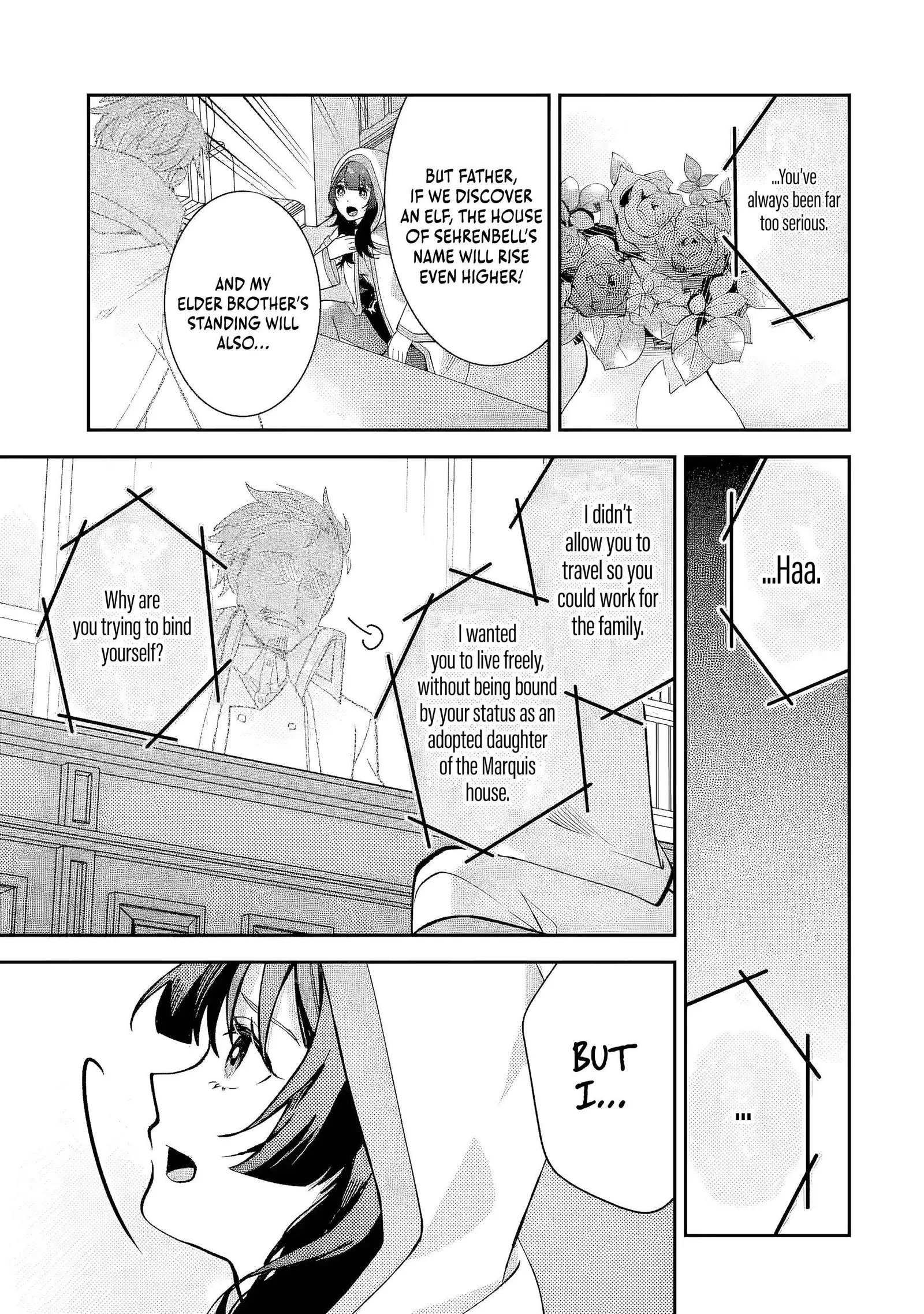 Raised by Elves, I Became Humanity's Only Spirit Mage ~ the Naive Strongest Adventurer Dominates Human Society Without Even Realizing It ~ Chapter 3 page 4