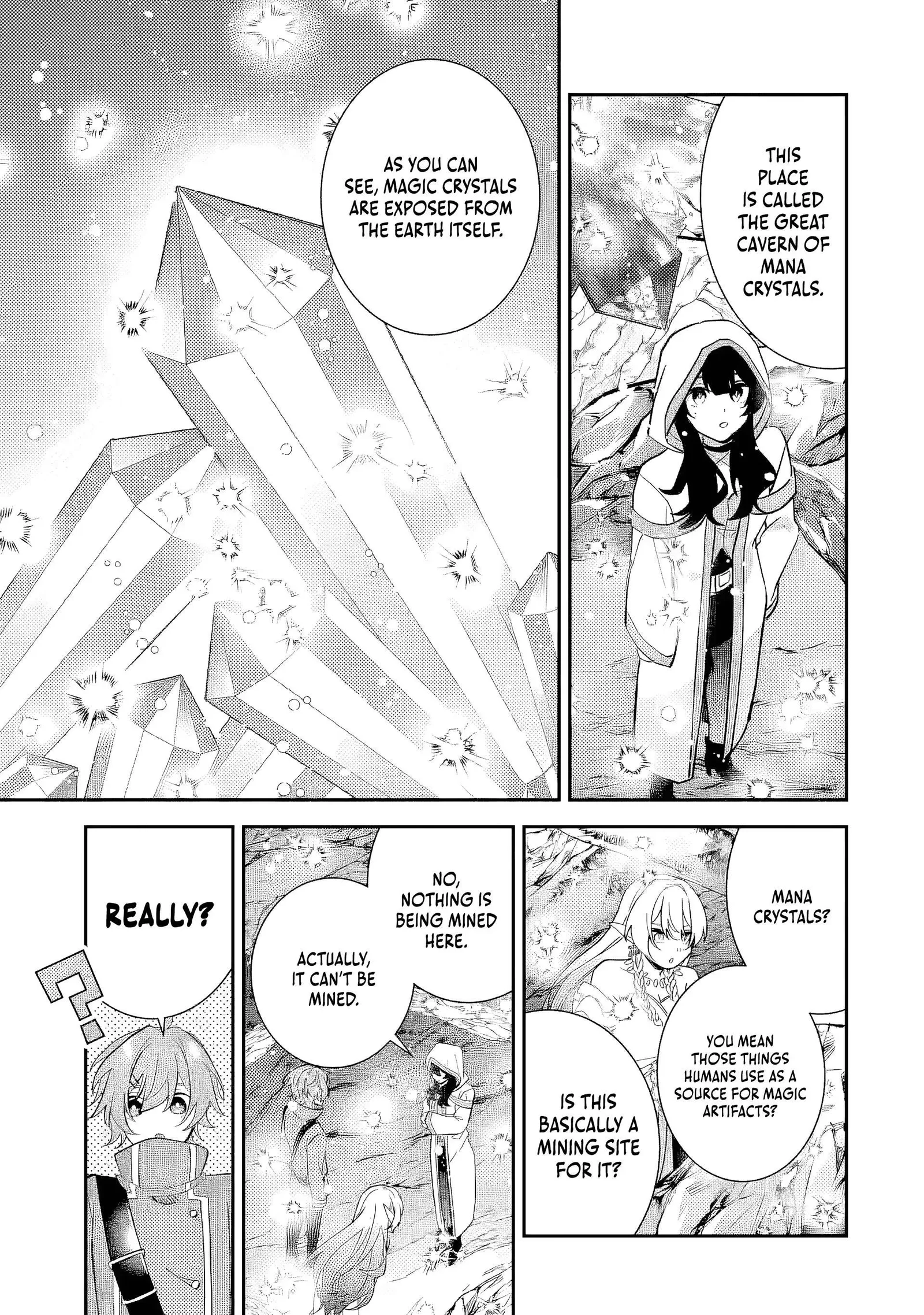 Raised by Elves, I Became Humanity's Only Spirit Mage ~ the Naive Strongest Adventurer Dominates Human Society Without Even Realizing It ~ Chapter 3 page 22