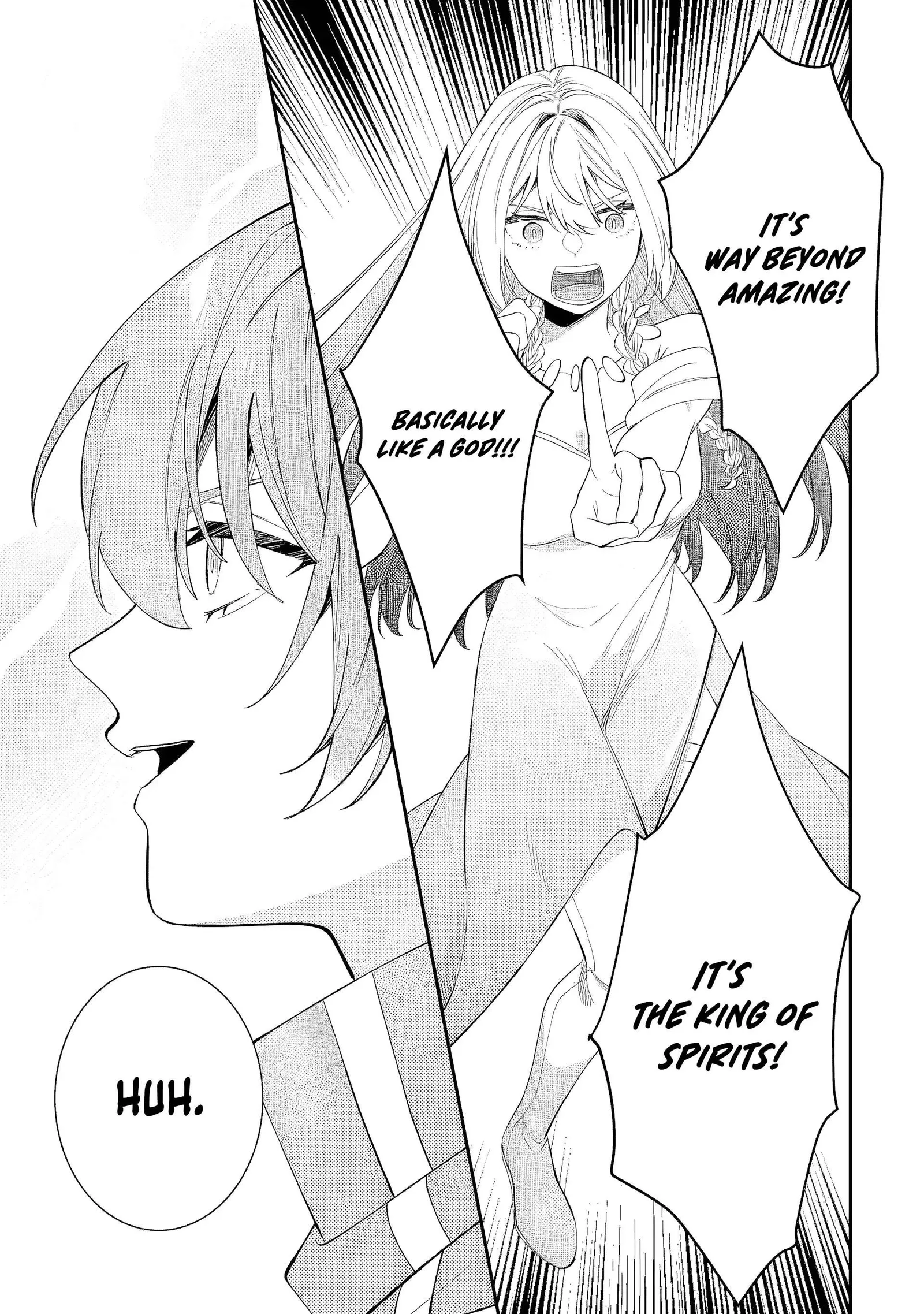 Raised by Elves, I Became Humanity's Only Spirit Mage ~ the Naive Strongest Adventurer Dominates Human Society Without Even Realizing It ~ Chapter 4 page 30