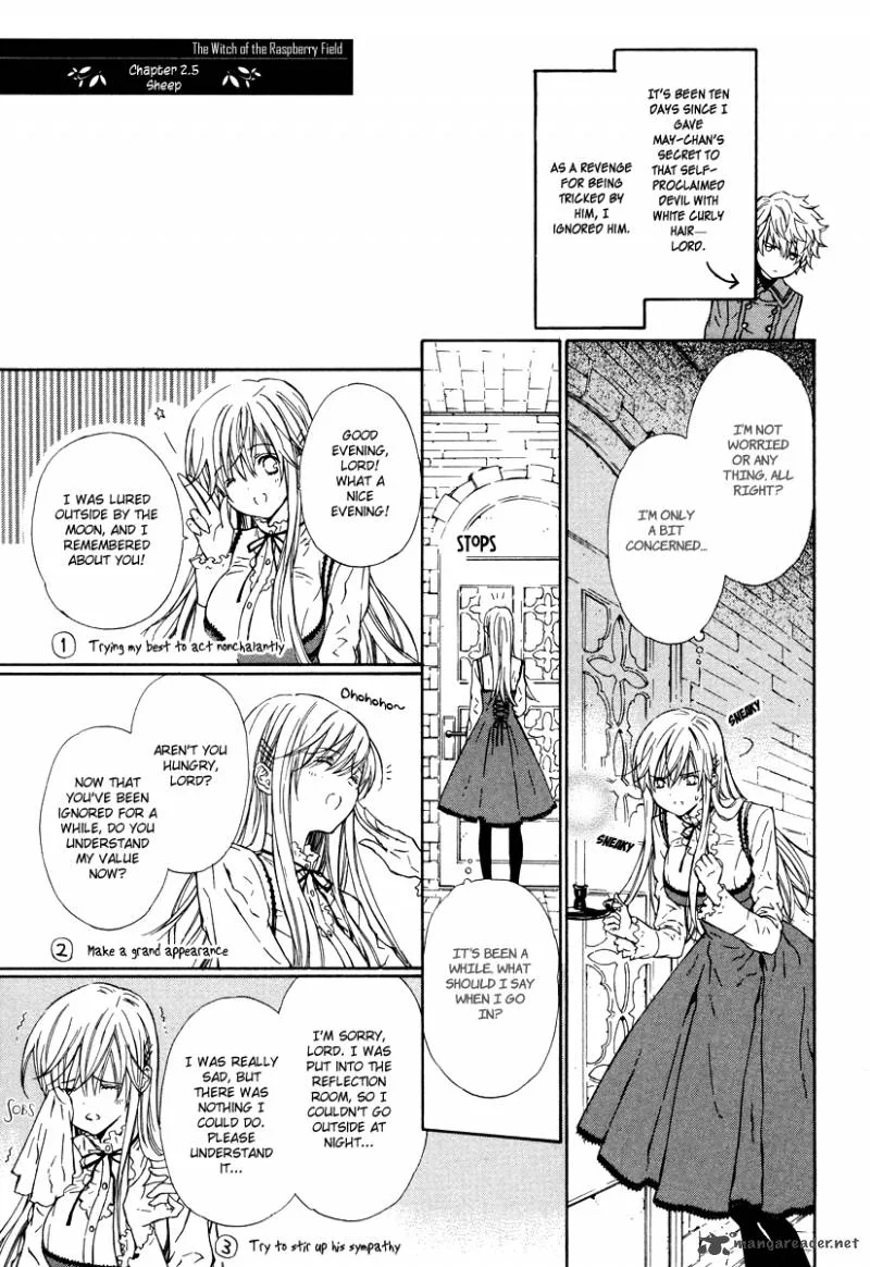 Raspberry Field No Majo Chapter 2 page 37