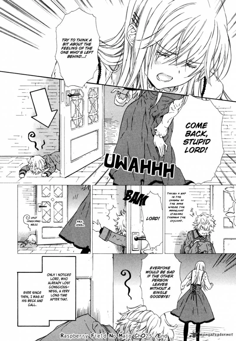 Raspberry Field No Majo Chapter 2 page 42