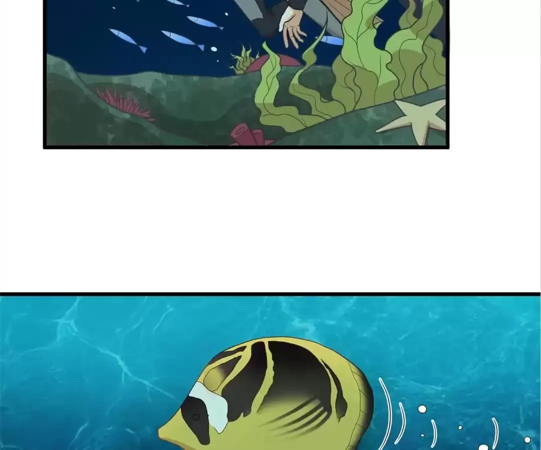 Rebirth From 0 to 1 Chapter 126 page 11