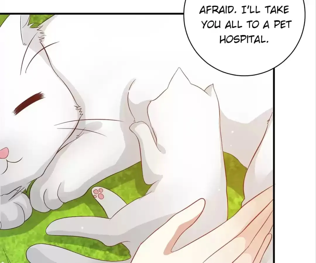 Rebirth From 0 to 1 Chapter 19 page 30