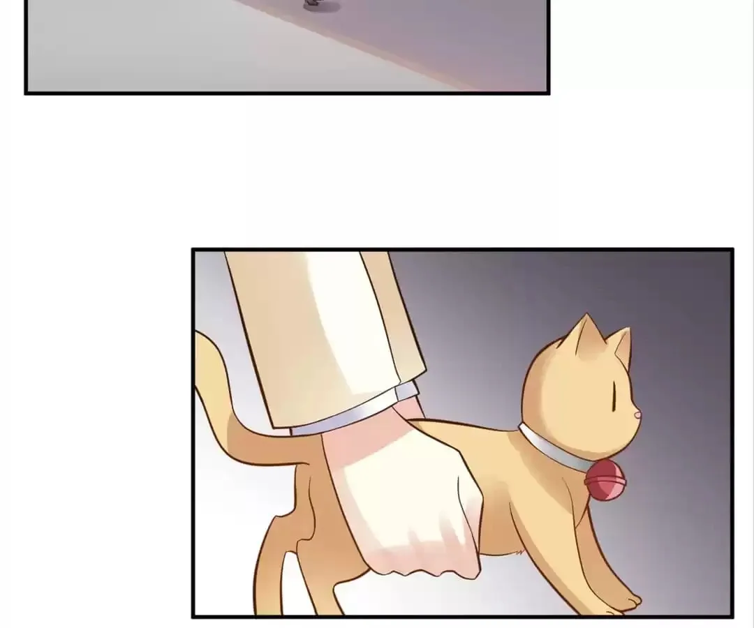 Rebirth From 0 to 1 Chapter 20 page 38