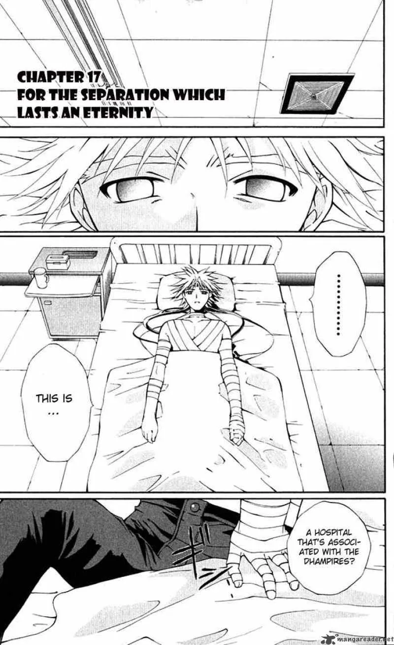 Record of Fallen Vampire Chapter 17 page 1