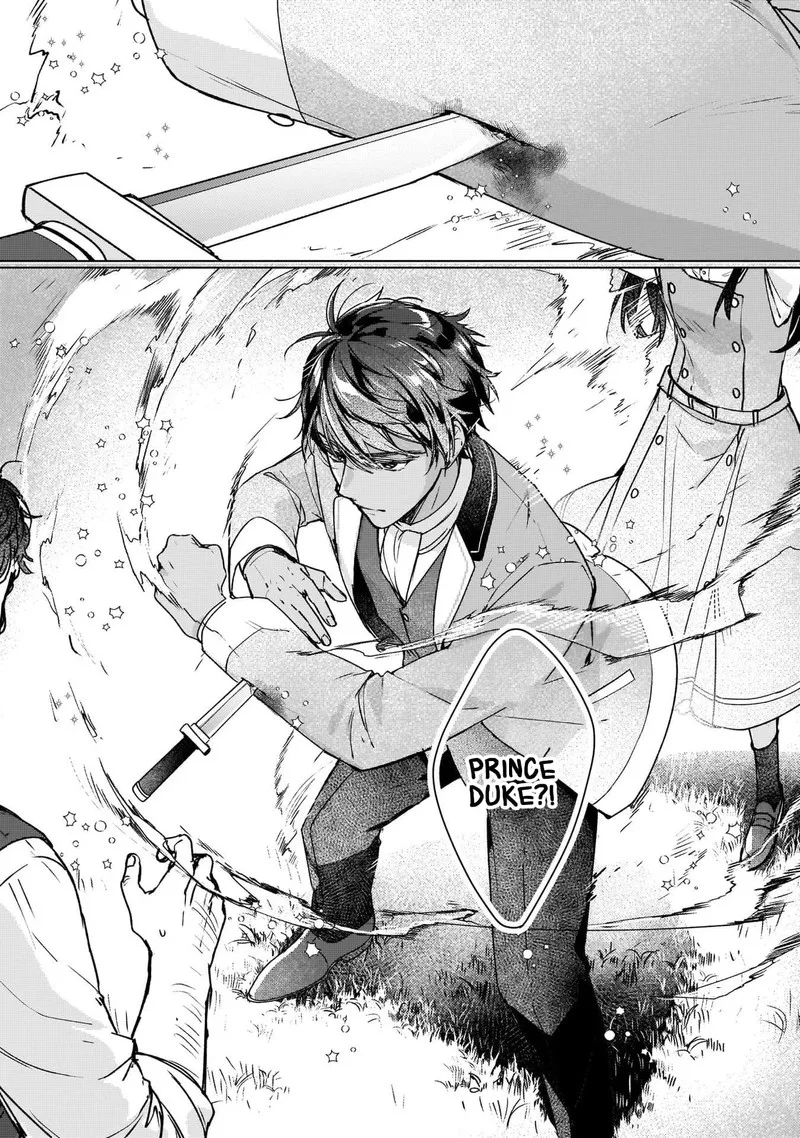 Rekishi ni Nokoru Akujo ni naru zo Chapter 11 page 26