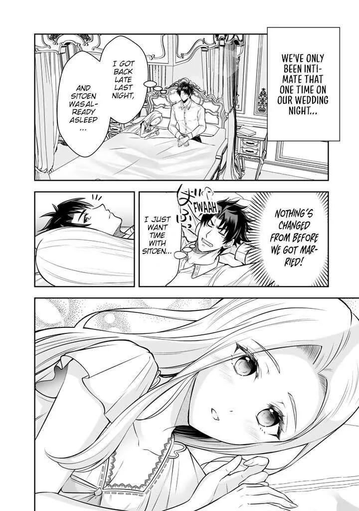 Rinkoku kara Kita Yome ga Kawaisugite Doushiyou Chapter 20 page 7