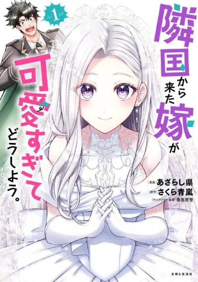 Rinkoku kara Kita Yome ga Kawaisugite Doushiyou cover