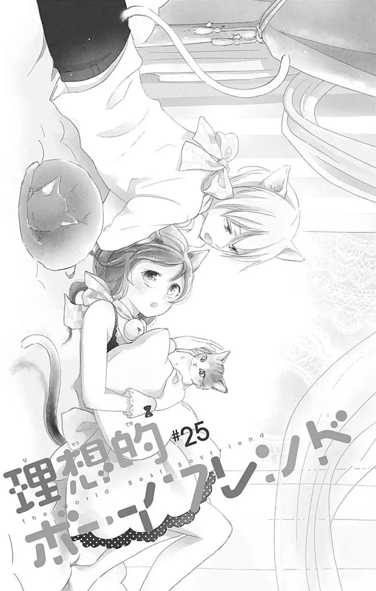 Risouteki Boyfriend Chapter 25 page 5