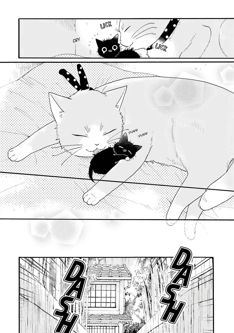 Rokuhoudou Yotsuiro-Biyori Chapter 11 page 13