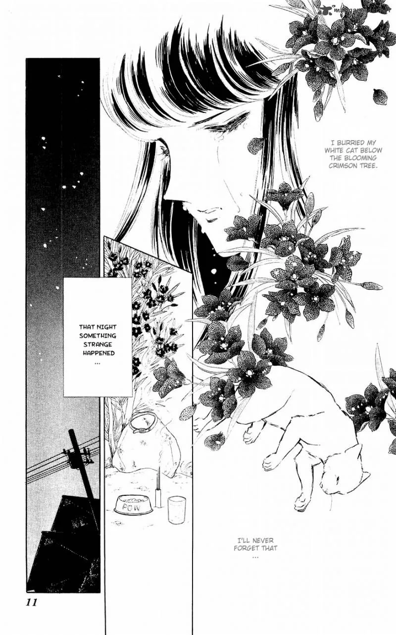 Ryouko's Case-Book of Spirits Chapter 1 page 9