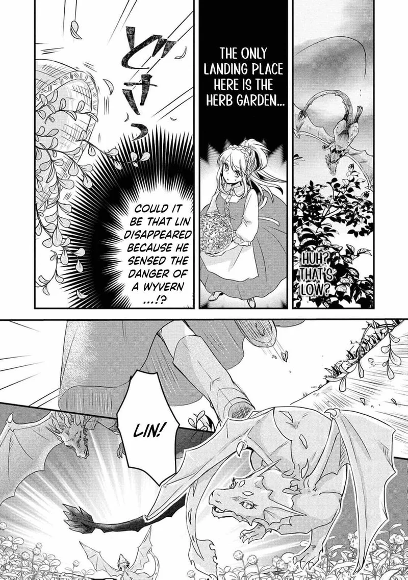 Ryuuheika no Okisaki wa Okotowari Shitai! Chapter 1 page 20