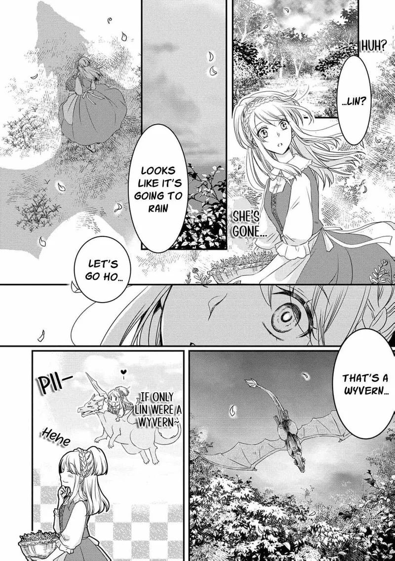 Ryuuheika no Okisaki wa Okotowari Shitai! Chapter 1 page 19