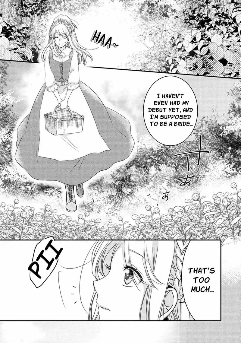 Ryuuheika no Okisaki wa Okotowari Shitai! Chapter 1 page 16
